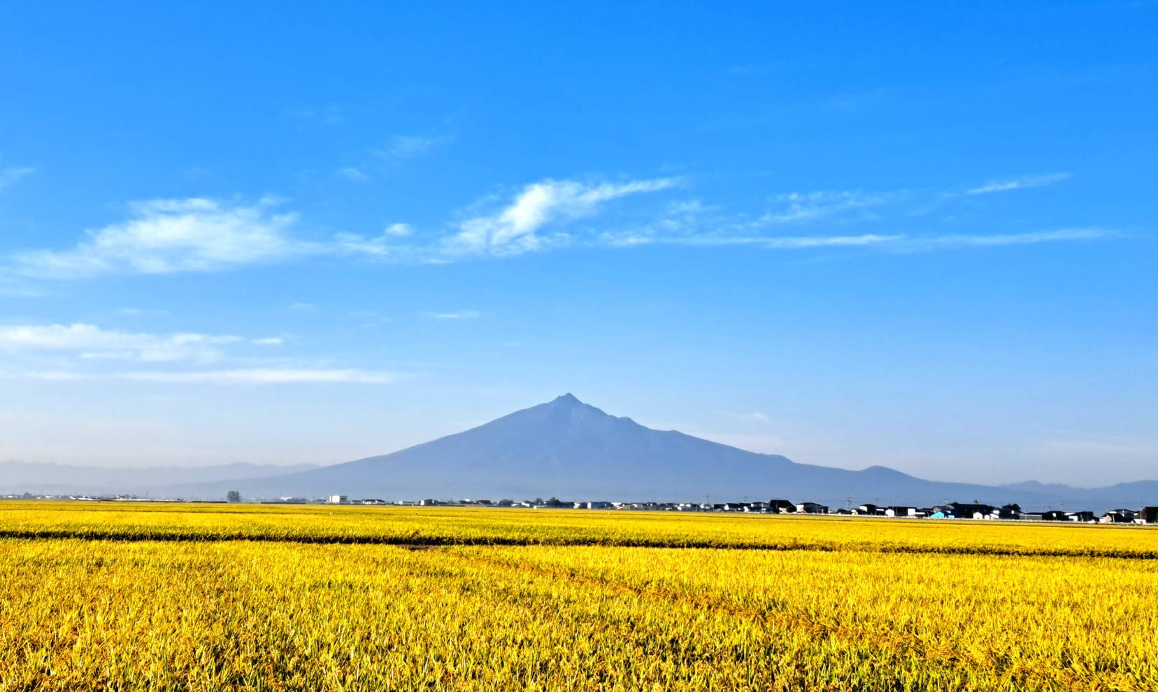 岩木山と稲穂